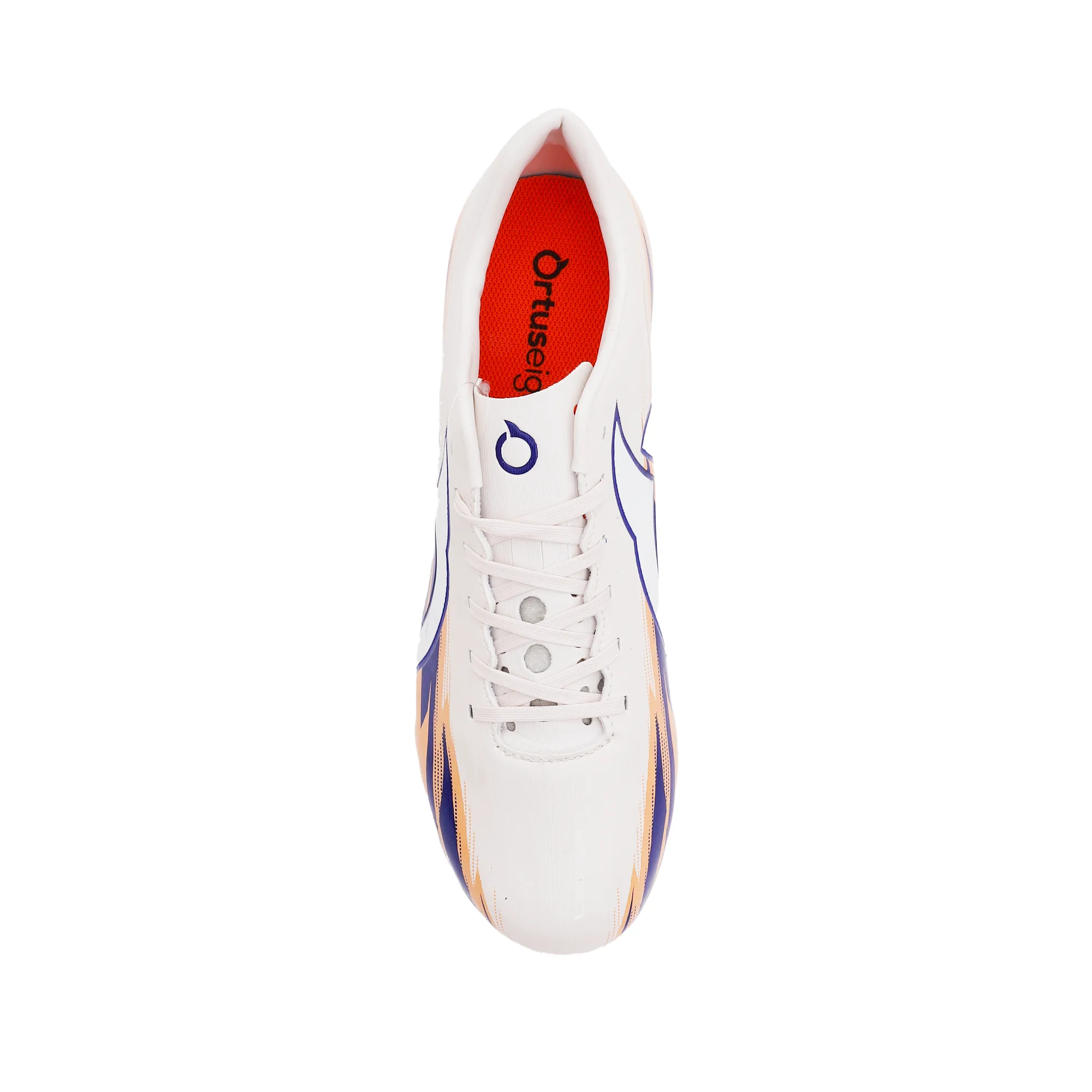 SPARK FG