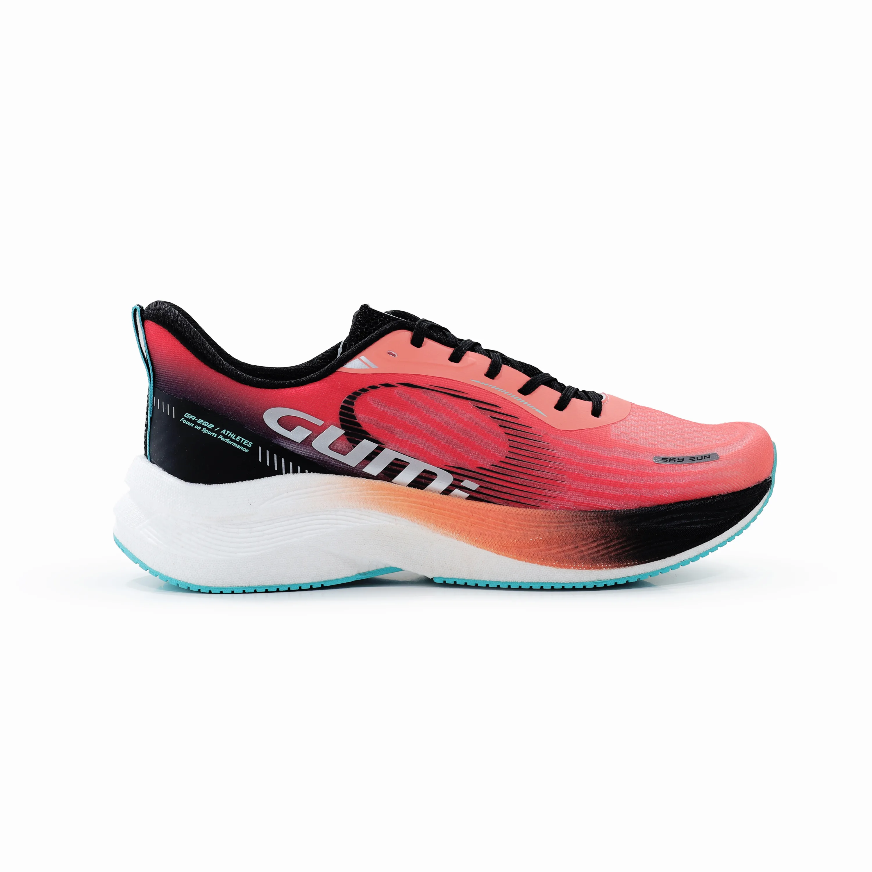 SKY RUN